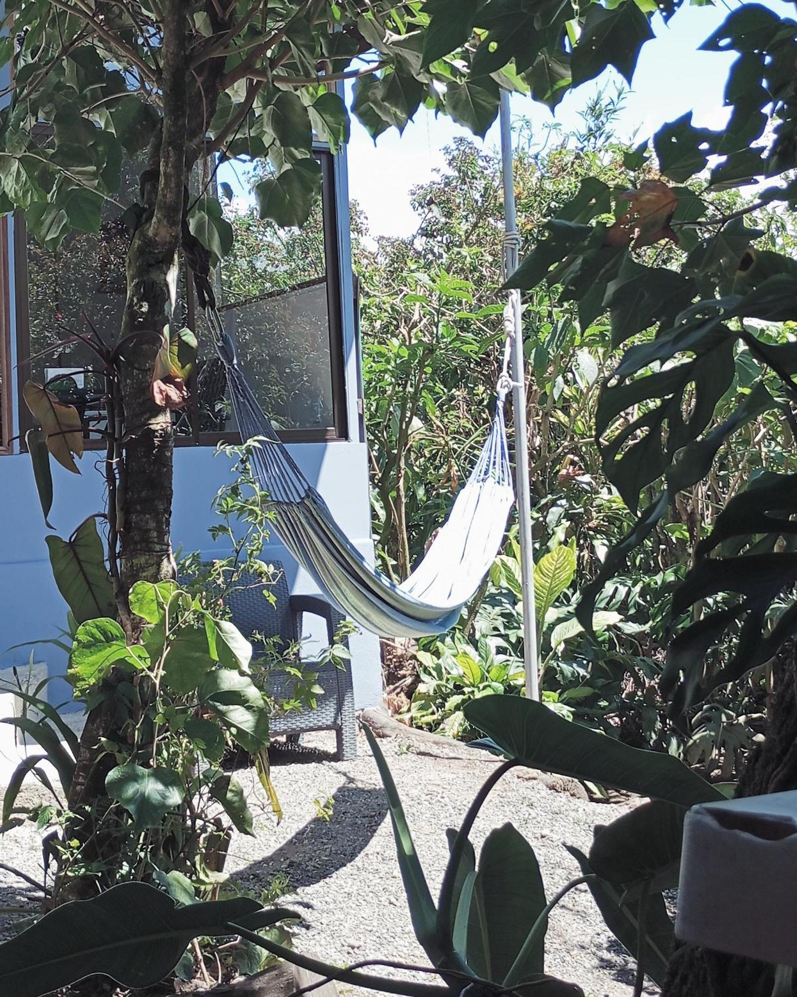Monteverde Cecropia Paradise Bilik gambar