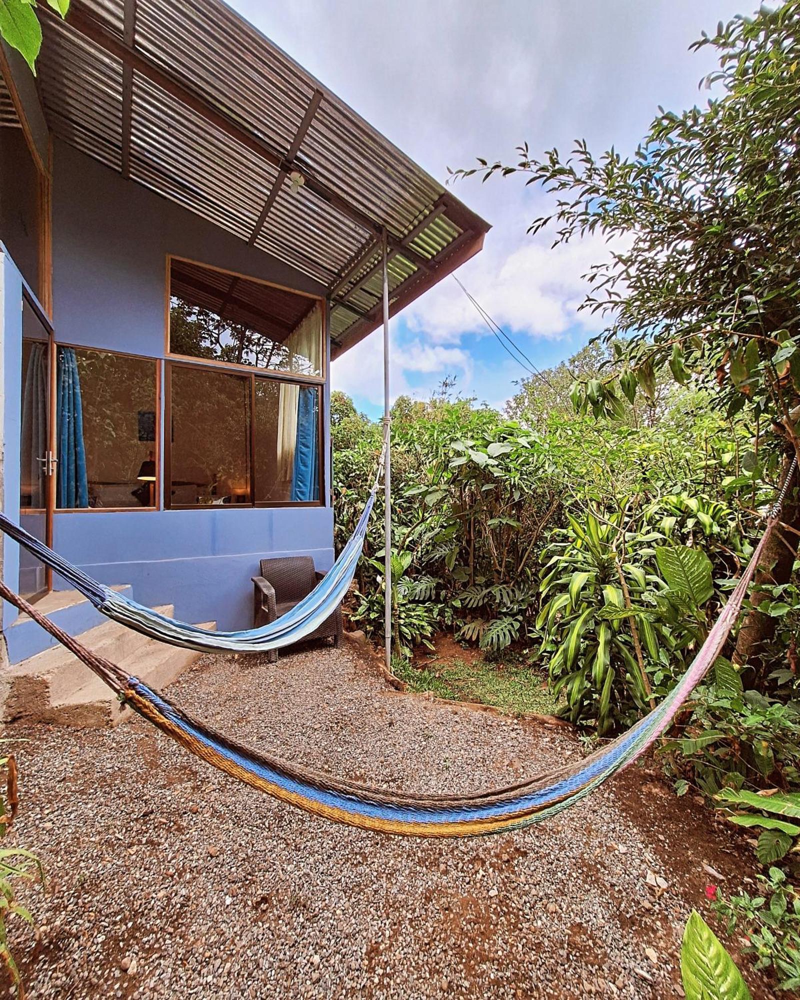 Monteverde Cecropia Paradise Bilik gambar