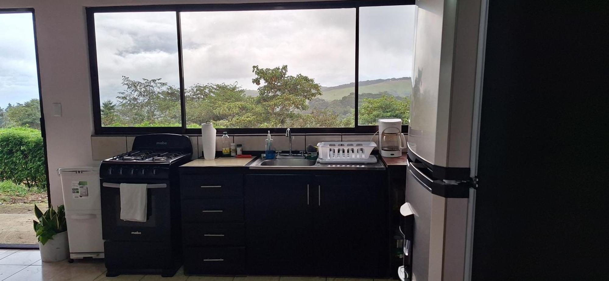 Monteverde Cecropia Paradise Bilik gambar