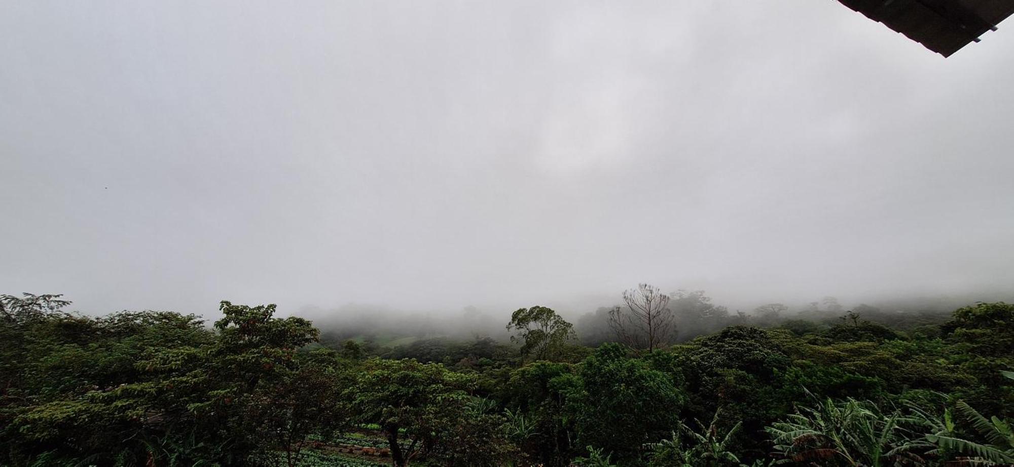 Monteverde Cecropia Paradise Bilik gambar