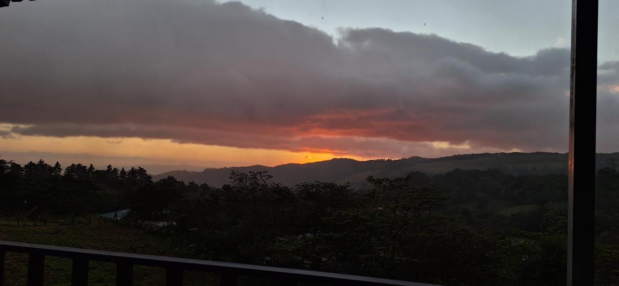 Monteverde Cecropia Paradise Bilik gambar