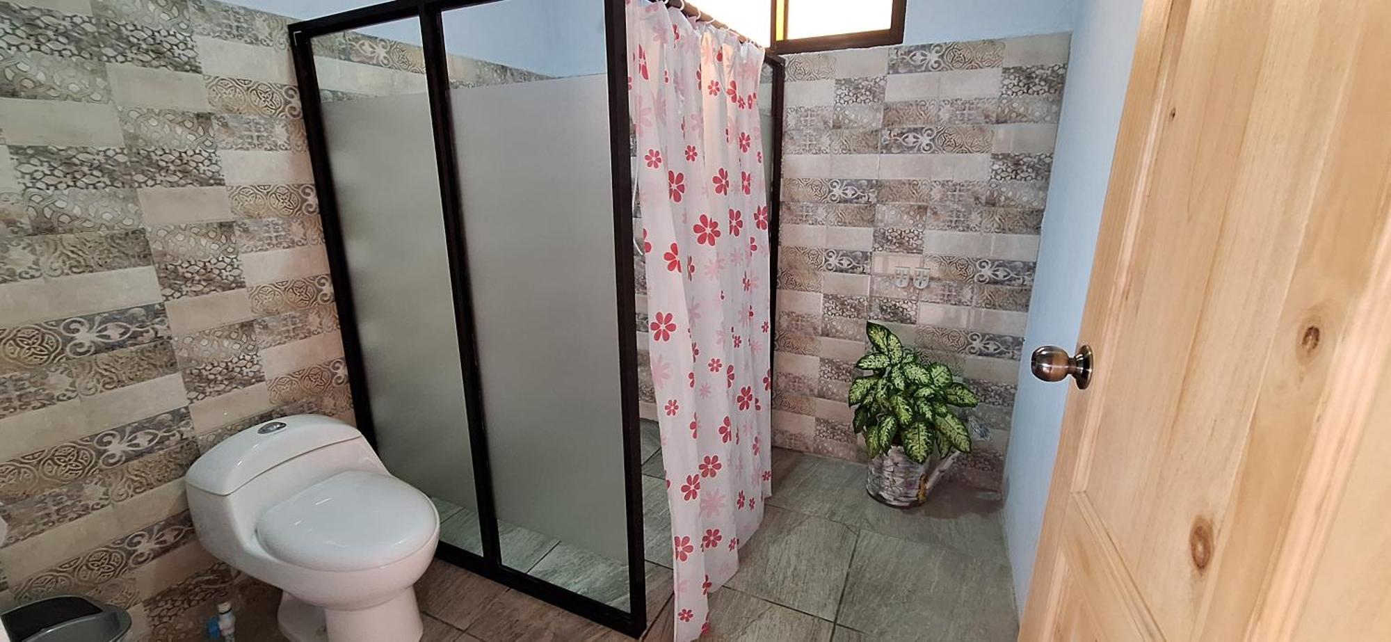 Monteverde Cecropia Paradise Bilik gambar