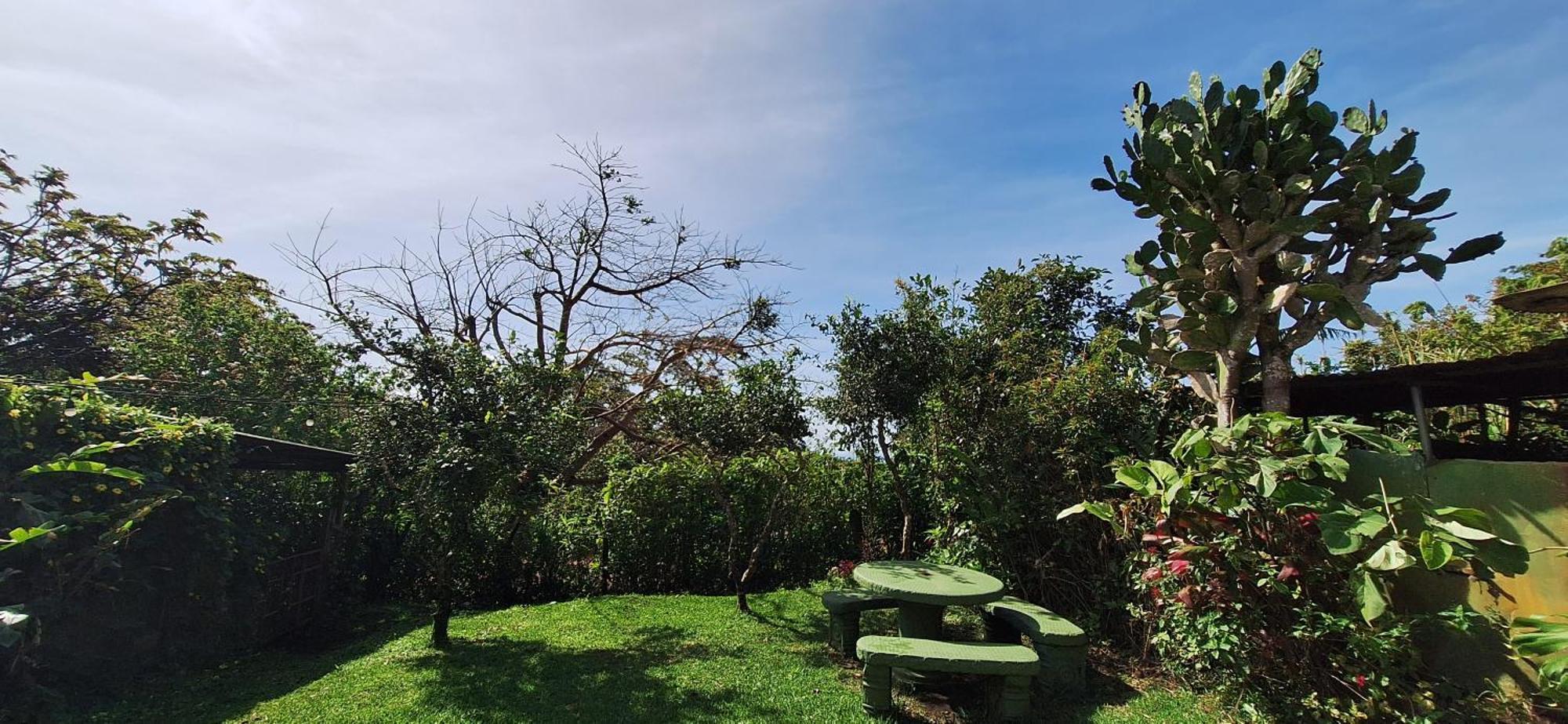 Monteverde Cecropia Paradise Bilik gambar