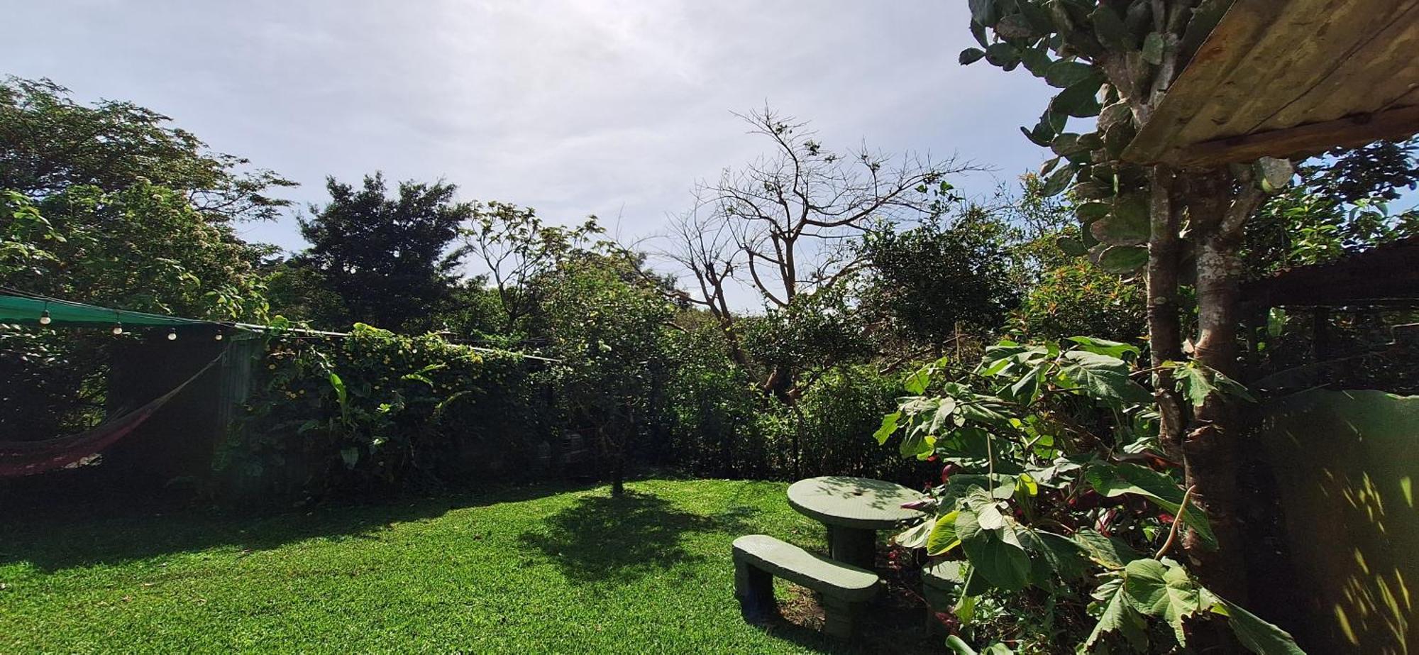 Monteverde Cecropia Paradise Bilik gambar